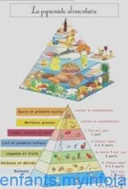 Oxi alim2.5 peinture mur/plafond alimentaire blanc 2.5l non concerné de la marque oxi. Dossier 16 Fiches Sur L Alimentation L Equilibre Alimentaire Petit Dejeu Alimentaire Dejeu Dossier Fi Healthy Food Activities Food Pyramid Nutrition