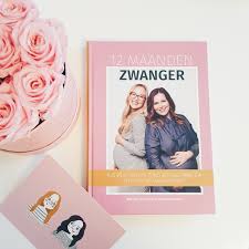 Het Boek 12 Maanden Zwanger Van Wil En Tien Uitgebreide Recensie By Dagmar Valerie