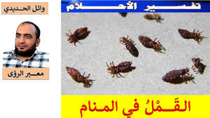 رؤية القمل والحشرات في الشعر. ØªÙØ³ÙŠØ± Ø­Ù„Ù… Ø§Ù„Ù‚Ù…Ù„ ÙÙŠ Ø§Ù„Ù…Ù†Ø§Ù… ÙÙŠ Ø§Ù„Ø­Ù„Ù… Ø¨Ø§Ù„ØªÙØµÙŠÙ„ Youtube