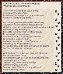 Naa Ra Da S Image Dog Poems Pet Loss Grief Pet Sympathy