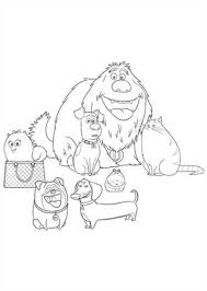 Unique coloring pages of max duke chloe gidget and the rest of the cartoon characters are waiting for your child. Kids N Fun Com 29 Coloring Pages Of Secret Life Of Pets