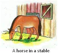 Homes Of Animals Homes Of Bird Rabbit Mouse Dog Horse Hen Spider