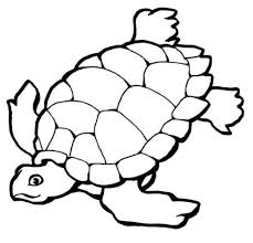 Coloring pages of sea turtles. 35 Free Turtle Coloring Pages Printable