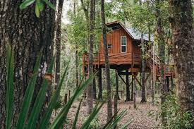 Can finish out attic to create a third story with an even better city view and master bedroom suite. 9 Treehouse Escapes To Explore Now You Re Never Too Old For A Treehouse