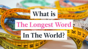 Is, a manga by masakazu katsura. What Is The Longest Word In The World