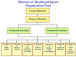 Food And Nutrition Service Organizational Chart 2019