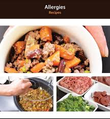 Diabetic canine nutritionist recipes : Homemade Dog Food Recipes Allergies The Canine Nutritionist