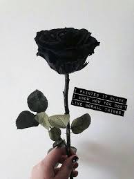 Aesthetic Feels에 있는 Fangirl311님의 핀 꽃 프레임 꽃 장미