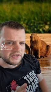 @LindseyKinsell2's video Tweet