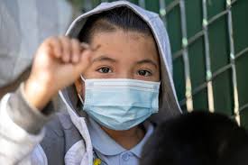 How gradeschoolers learn science, tech, engineering and math from wriggly  worms