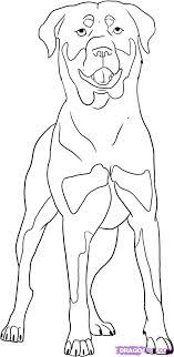 Free printable rottweiler coloring pages available in high quality image and pdf format. Rottweiler Colors And Markings Step 6 When You Are Completely Done Your Dog Should Come Out Looking Dog Drawing Rottweiler Tattoo Dog Art