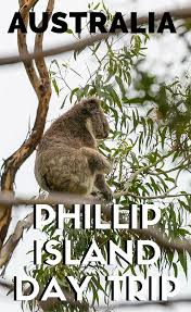 Phillip Island Day Trip With The Smallest Penguins In The World Phillips Island Australia Travel Island Tour