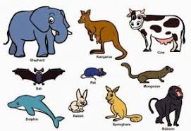 Maybe you would like to learn more about one of these? Pembahasan Lengkap Klasifikasi Makhluk Hidup Kelas 7 Nusa Caraka