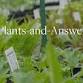 Berkshire Botanical Garden: Plant Sale event image