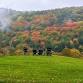 Yogic Feast in Vermont