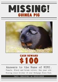 A missing cat poster is an instrument which helps you a lot to find a missing cat. Download Missing Poster Template Lost Cat Poster How To Find A Lost Dog