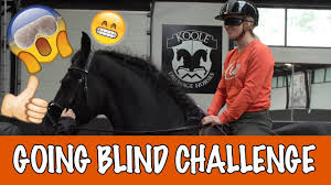 Видео канала paardenpraattv, ( 5113 видео ). Steigeren Met Paarden En Bijna In Mijn Arm Gebeten Worden Vlogmas 145 By Hoefwijzer