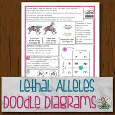 If the allele b is used to denote that his parents aren't his parents because his genes don't support that idea. Lethal Alleles Doodle Diagrams Store Science And Math With Mrs Lau Biology Guided Notes Doodles