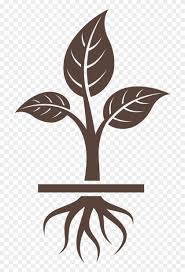 This coloring page features poison ivy. Get To The Root Poison Ivy Plant Icon Hd Png Download 1250x1250 1330913 Pngfind