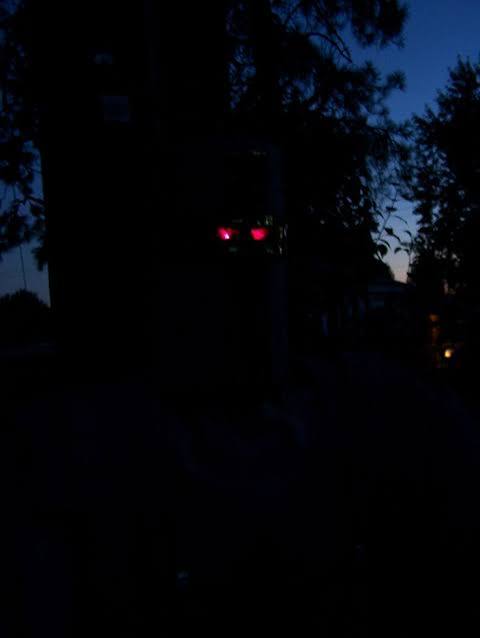 Knights Eyes Glow Red in the Dark | Creepy night scene, Halloween  decoration ideas, Haunted eyes in forest