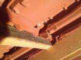 Condensation Sous Tuiles Et Moisissure Sur Charpente