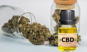 It is one of 113 identified cannabinoids in cannabis plants, along with tetrahydrocannabinol (thc). The Uncertain Status Of Food Products Containing Cbd New York Law Journal