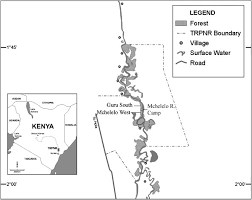 Image result for Aporrhiza paniculata