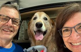 A Pandemic Road Trip Experience