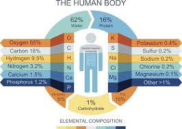 Human Body Composition As Elements And Compounds Body Composition Human Body Anatomy Human Body