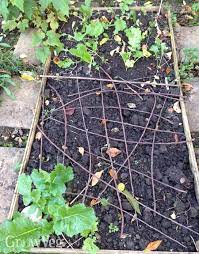Using old plant pots with bamboo stakes to keep cats at bay really works wonders. Keeping Cats Off Vegetable Beds