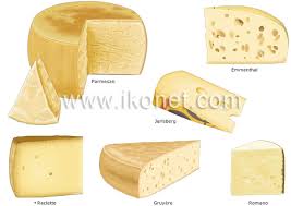 The Classification Of Cheeses Visual Dictionary