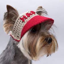 Dog S Cap With Text Baseball Cap For Dog Visor Cap For Dog Hat For Dog Dog S Cap Sun Hat For Dog Dog S Crochet Baseball Cap Crochet Dog Dog Hat Visor Cap