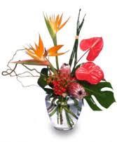 Maybe you would like to learn more about one of these? Divine Dendrobiums Vase Of Orchids In Modesto Ca Flowers By Hp Papadopoulos
