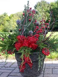 Check spelling or type a new query. Winter Flowers In Pots Garden Center Madison Wi Nursery America S Best Flowers Outdoor Christmas Decorations Christmas Planters Christmas Pots