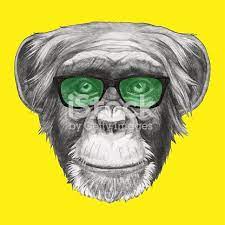 Hand Drawn Portrait Of Monkey With Glasses Vector Isolated Elements Hand Drawn Portraits Free Vector Art How To Draw Hands