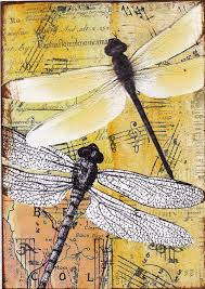 Black And Yellow Dragonfly Canada Dragonflies A Collaged Mixed Media Aceo Mixed Media Art Journaling Mixed Media Canvas Collage Art
