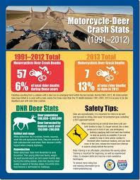 Everyday Riding Start Seeing Deer Motorcycle Outfit Riding Motorcycle Motorcycle Safety