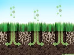 For the best results, use an aerating tool or machine that actually removes plugs of soil. How To Aerate A Yard 9 Steps With Pictures Wikihow