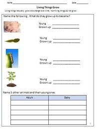 Living And Non Living Things Worksheets For Grade 3 Worksheets For Grade 3 Worksheets Living And Nonliving
