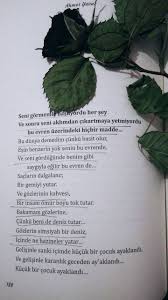 Kucuk Bir Cocuk Ayaklandi Siir Ask Sozleri Ask