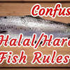 Is prawn halal in islam? Https Encrypted Tbn0 Gstatic Com Images Q Tbn And9gcrbhdxcpywipwco 6xipugzspy Espljbfyk5vhiejqflxen0vs Usqp Cau