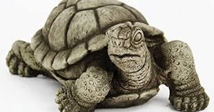 Turtle Home Decor Sea Turtle Home Decor All Things Turtle Turtle Wall Decor Outdoor Turtle Decor Bathroom Turtle Decor Turtle Meanings Symbolism Turtle Decor Turtle Wall Decor Concrete Statues