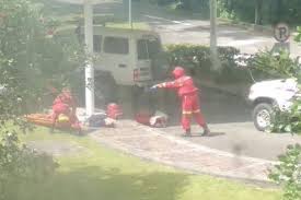 Tembak Mati Warga Selandia Baru Kkb Papua Dibela Benny Wenda