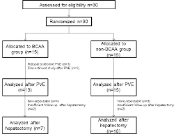 flowchart of the participants in the study bcaa