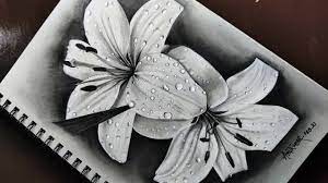 Maybe you would like to learn more about one of these? How To Draw Realistic Lily Flower With White Charcoal On Grey Paper Water Drop Flower Drawing Youtube