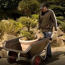 Pin Auf A Garden And A Library Gartendeko Outdoor Living