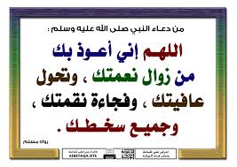 Pin On نبي الرحمة والتسامح