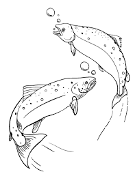 A pop of color will bring this printable salmon are property and copyright of their owners. Free Salmon Coloring Page