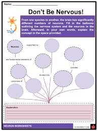 Image result for Neurology Worksheets