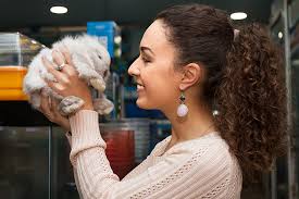 Four legs good pet boutique is a retail boutique with gifts for dogs, cats, and humans. The 10 Best Pet Boutiques In Michigan